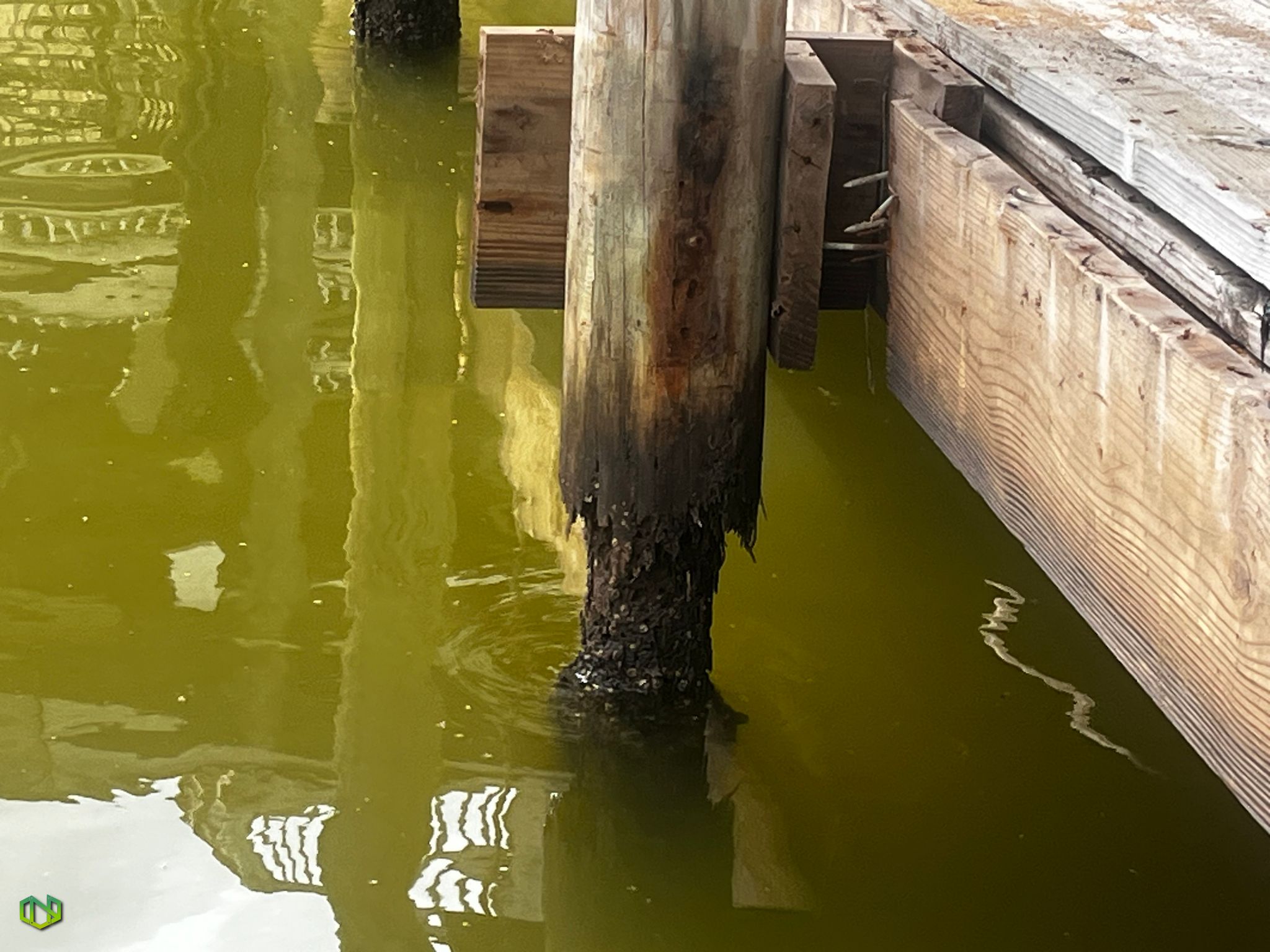 Piling Repair